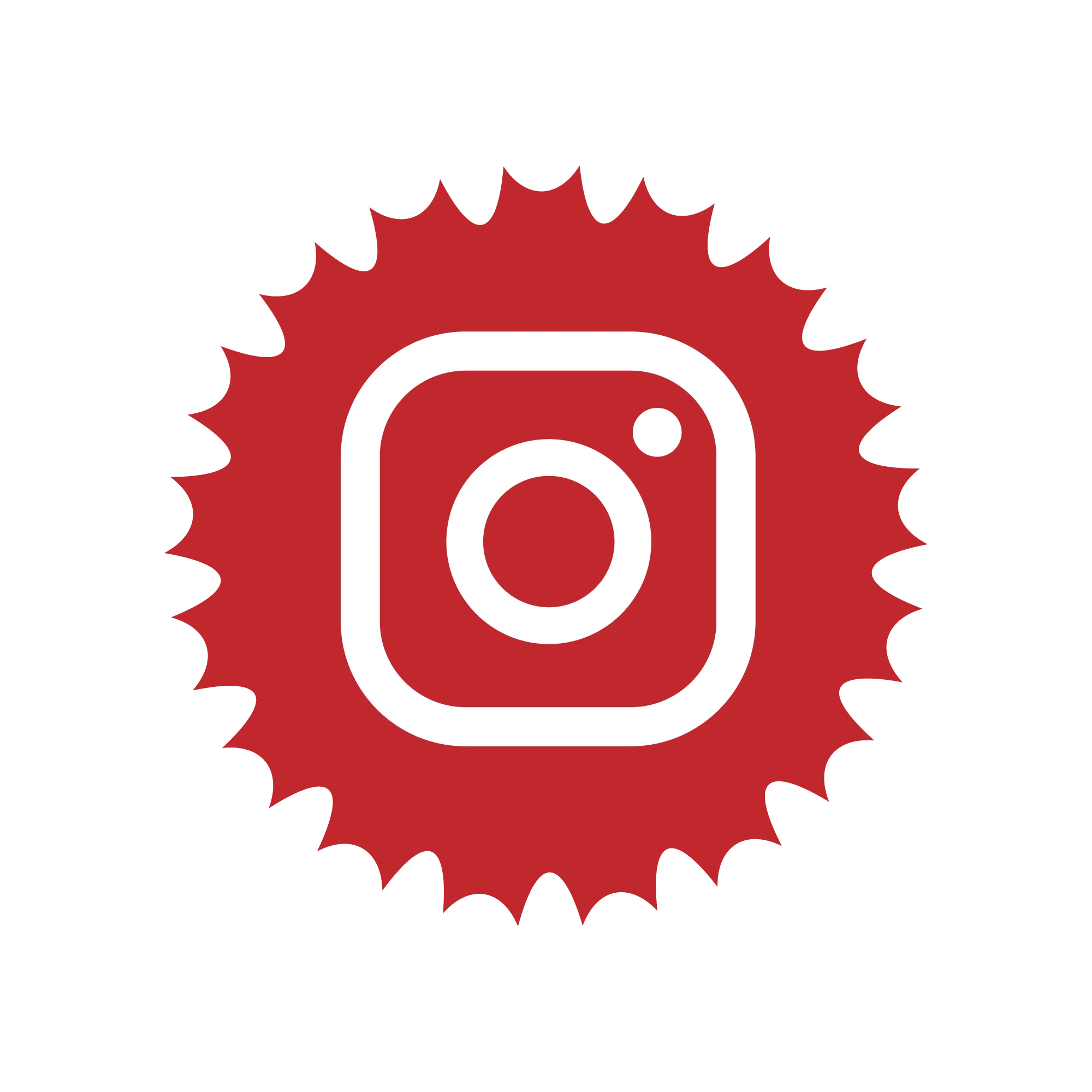 insta-logo.webp